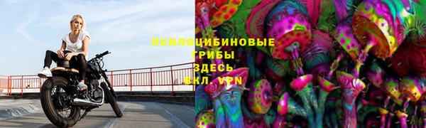 герыч Аркадак