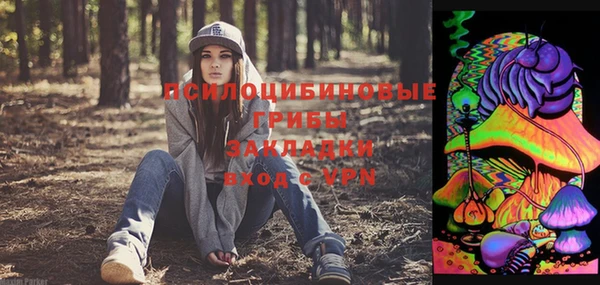 гидропоника Алзамай