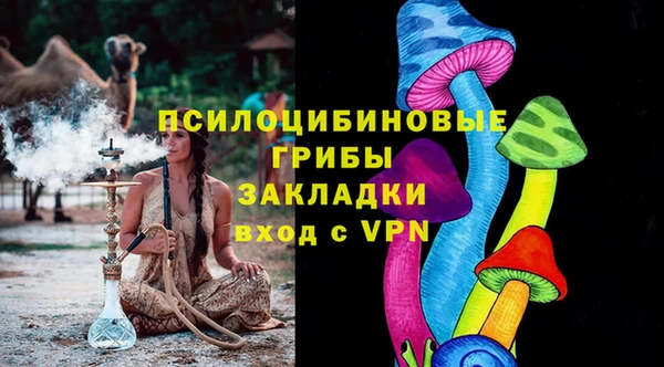 гидропоника Алзамай